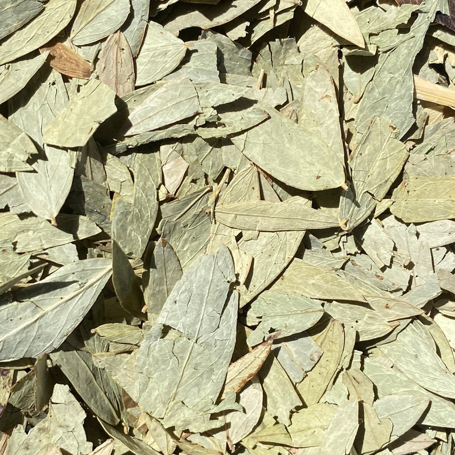 Image for Senna Leaves (Cassia Angustifolia)