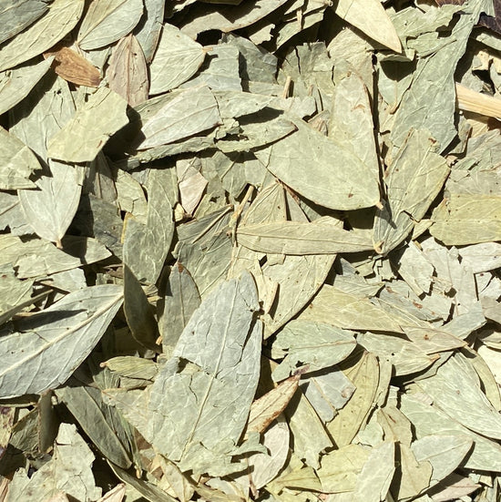 Senna Leaves (Cassia Angustifolia)