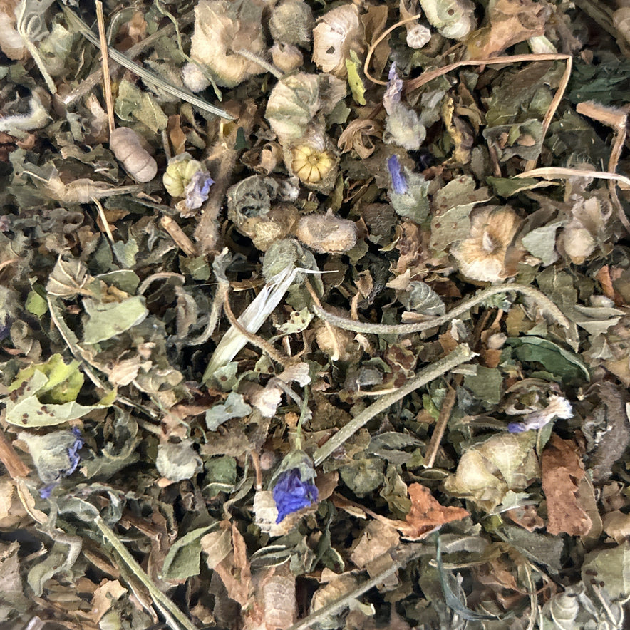 Image for Mallow (Malva Sylvestris) | Whole plant