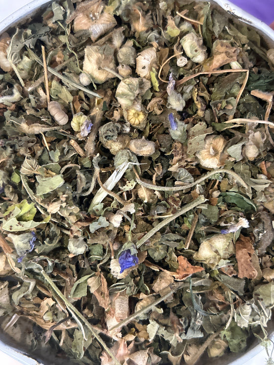 <transcy>La Grande Mauve (Malva Sylvestris)</transcy>