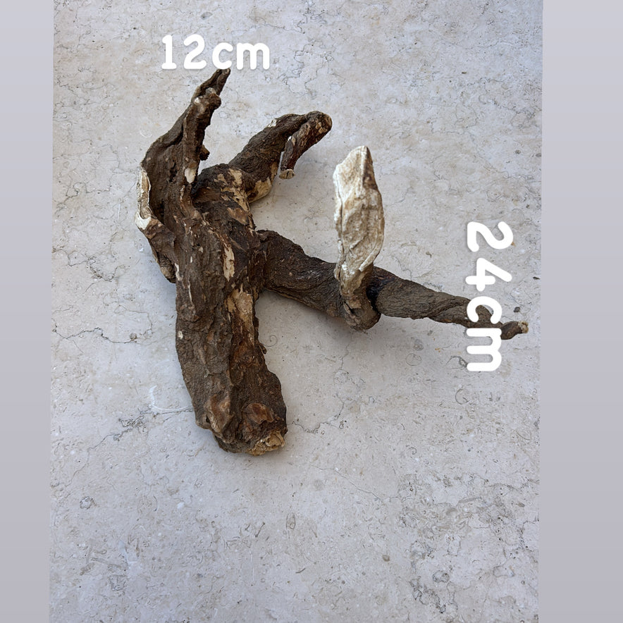 Image for Wild Cretan Mandrake Whole Root 470gr