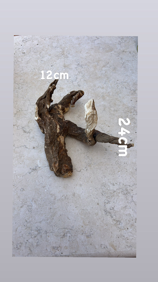 Wild Cretan Mandrake Whole Root 470gr