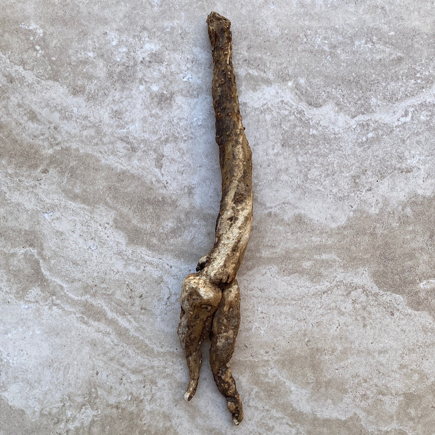 Image for Wild Cretan Mandrake Whole Root 215 grams