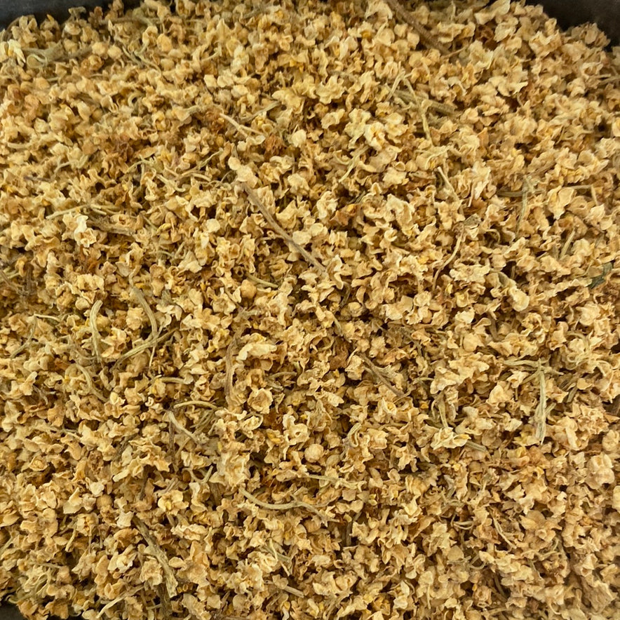 Image for Holunderblüte (Sambucus Nigra)