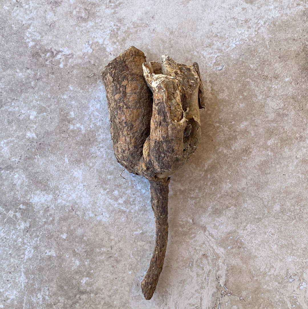 Cretan Mandrake Root Wild (Mandragora Officinarum) Whole root 225 grams