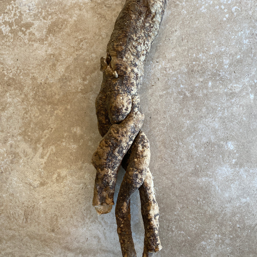 Image for Wild Cretan Mandrake Whole Root 285gr