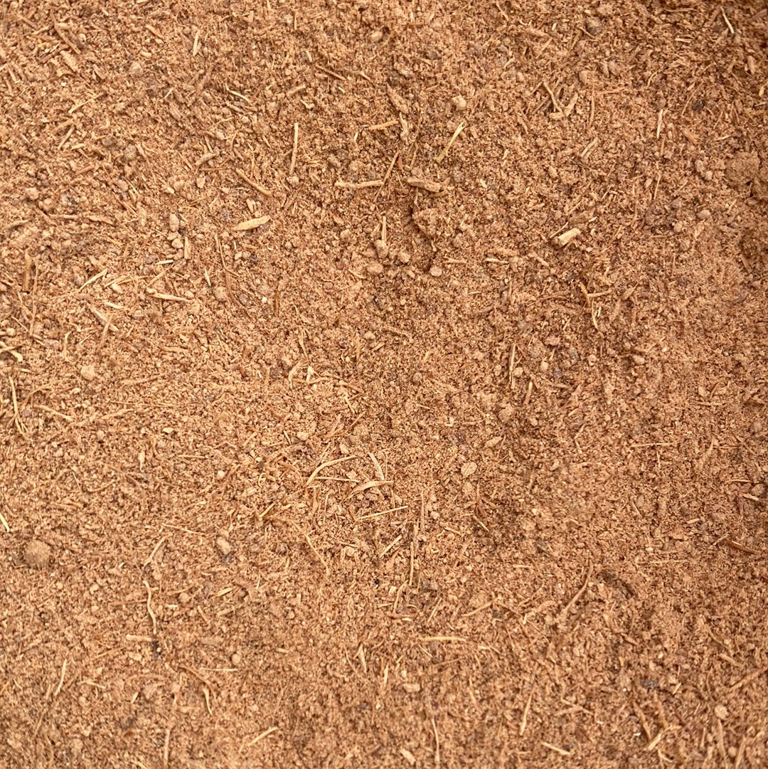 Galanga (Alpinia Galanga) Racine ou Powder