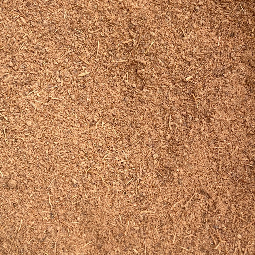 Image for Galangal (Alpinia Galanga) Root or Powder
