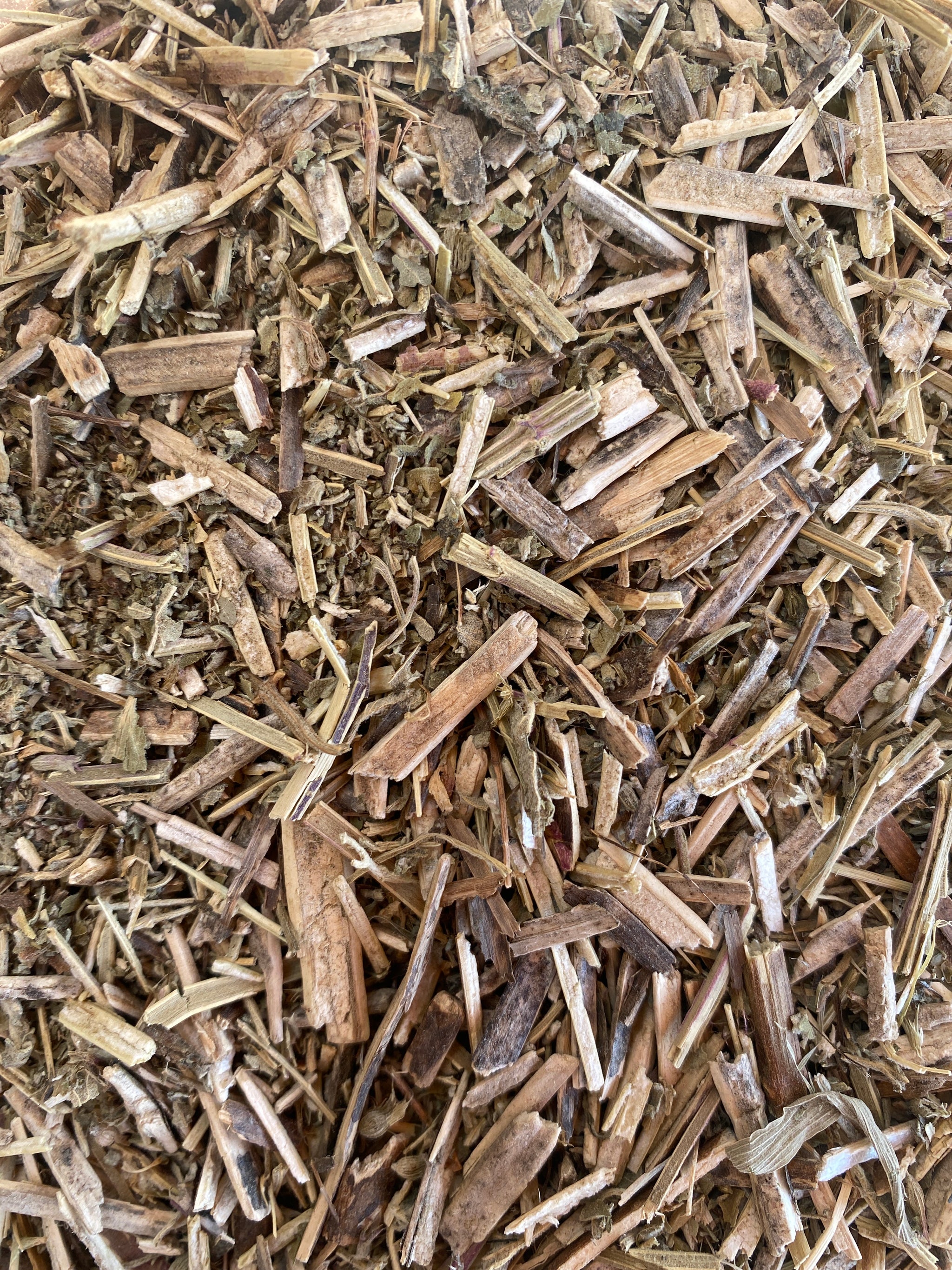 Herbe à chat (Nepeta Cataria)