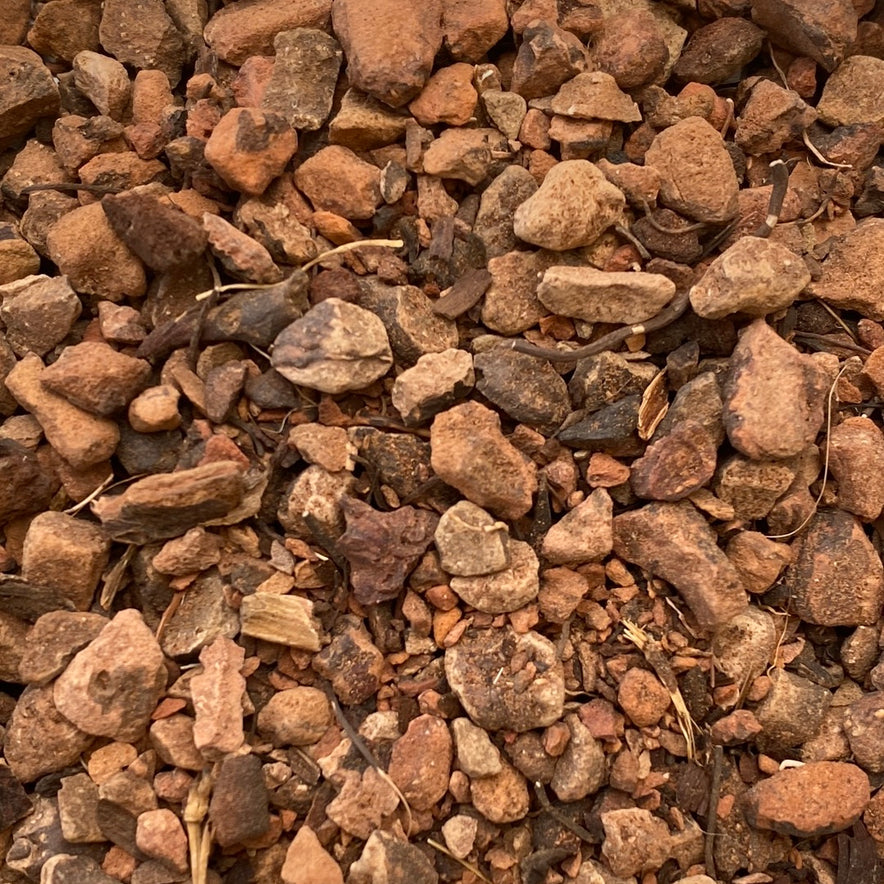 Image for Πολύγωνο Ρίζα (Polygonum Bistorta)