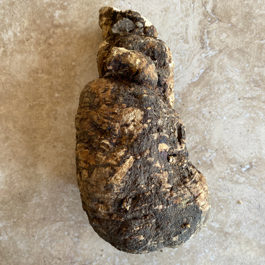 Image for Wild Cretan Mandrake Whole Root 340gr