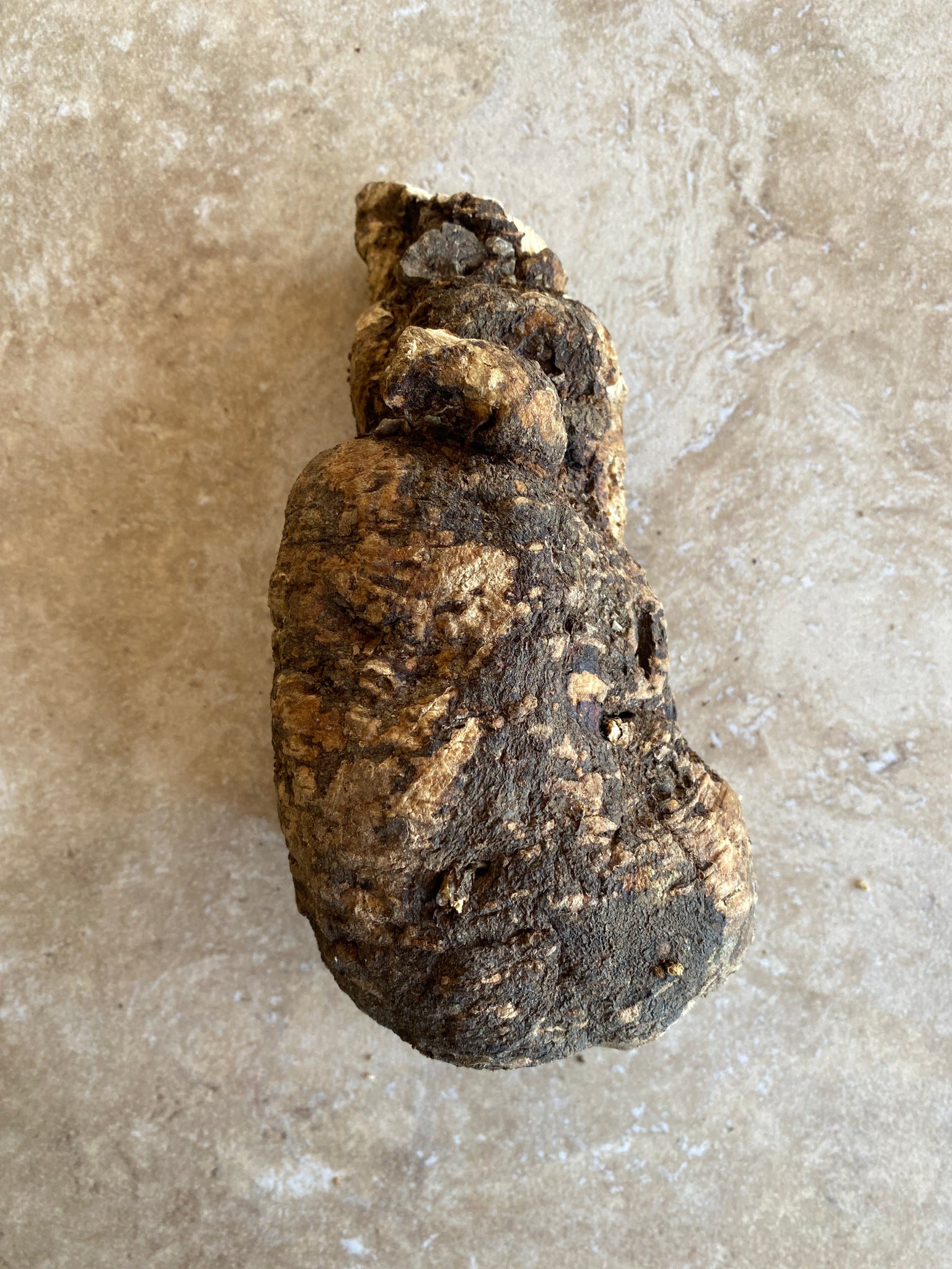 Wild Cretan Mandrake Whole Root 350gr