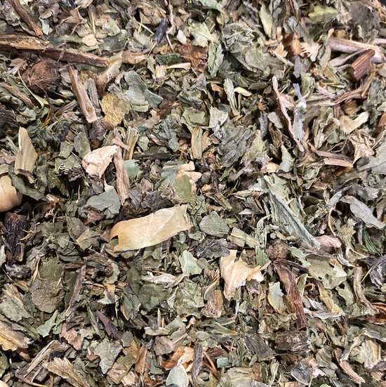 Mariendistel (Silybum Marianum)