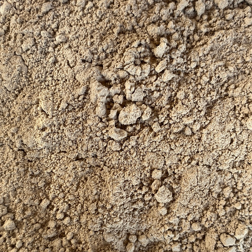Image for Coriolus Versicolor Mushroom Powder