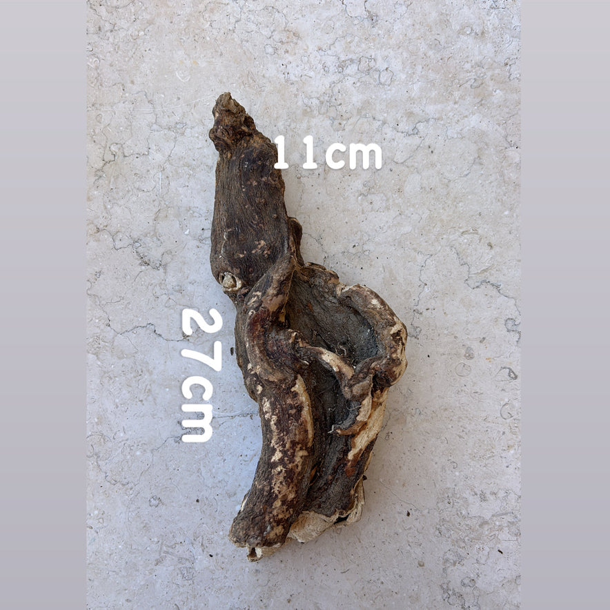 Image for <tc>Άγριος Κρητικός Μανδραγόρας | Ολόκληρη Ρίζα | 215 γραμμάρια</tc>