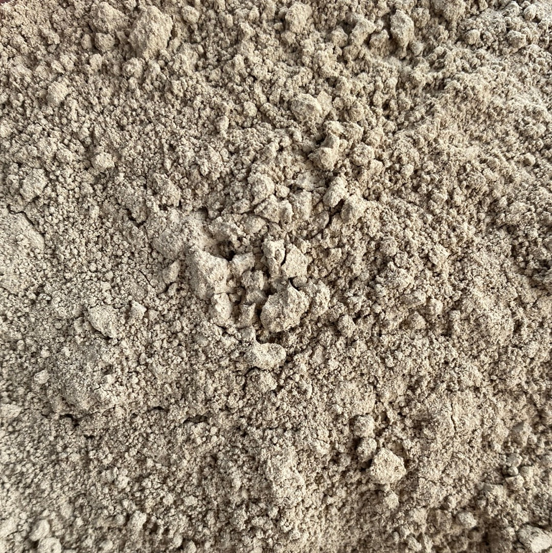 Coriolus Versicolor Mushroom Powder