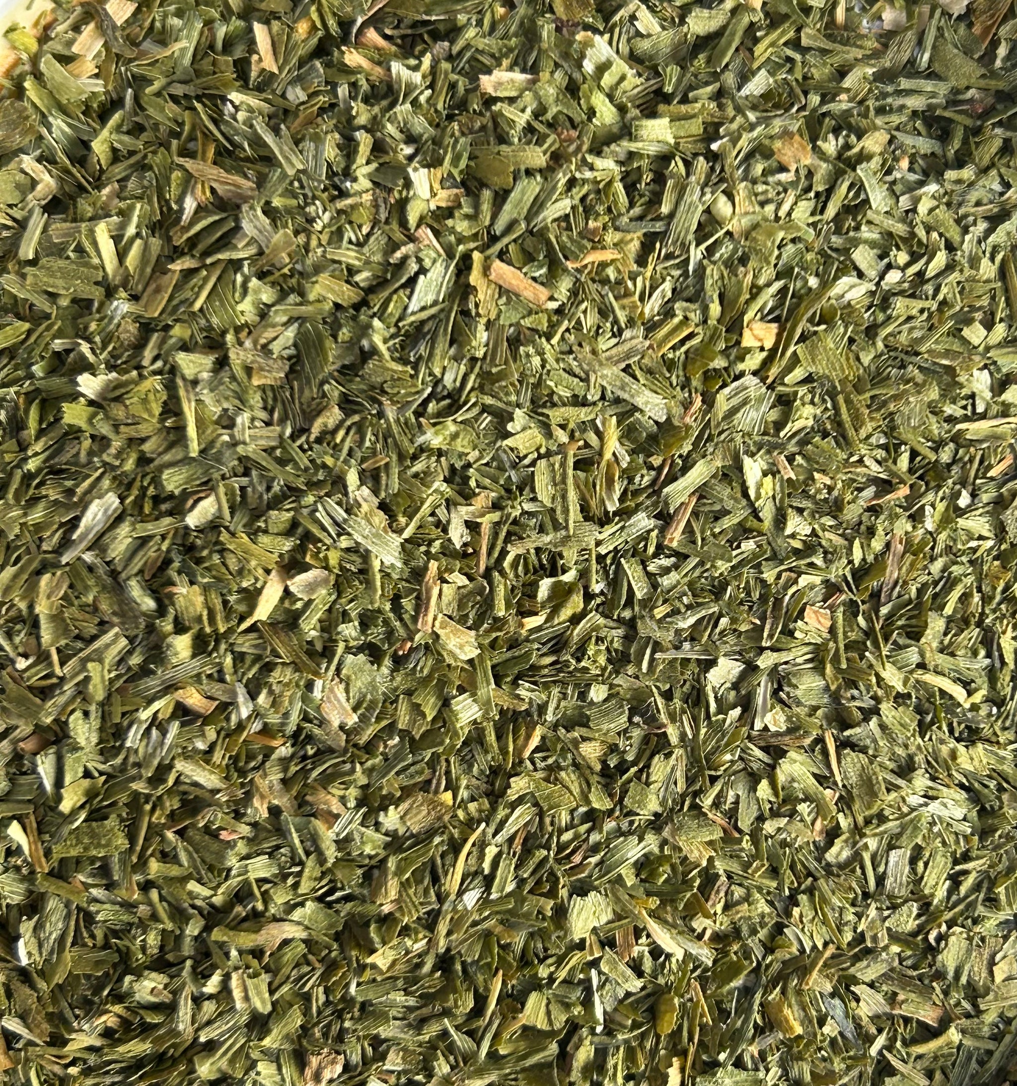 Chives (Allium Schoenoprasum)