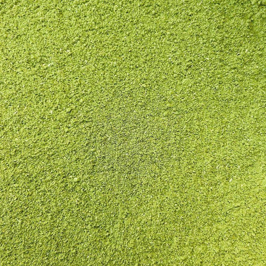 Image for Poudre de Moringa (Moringa Oleifera) - Biologique