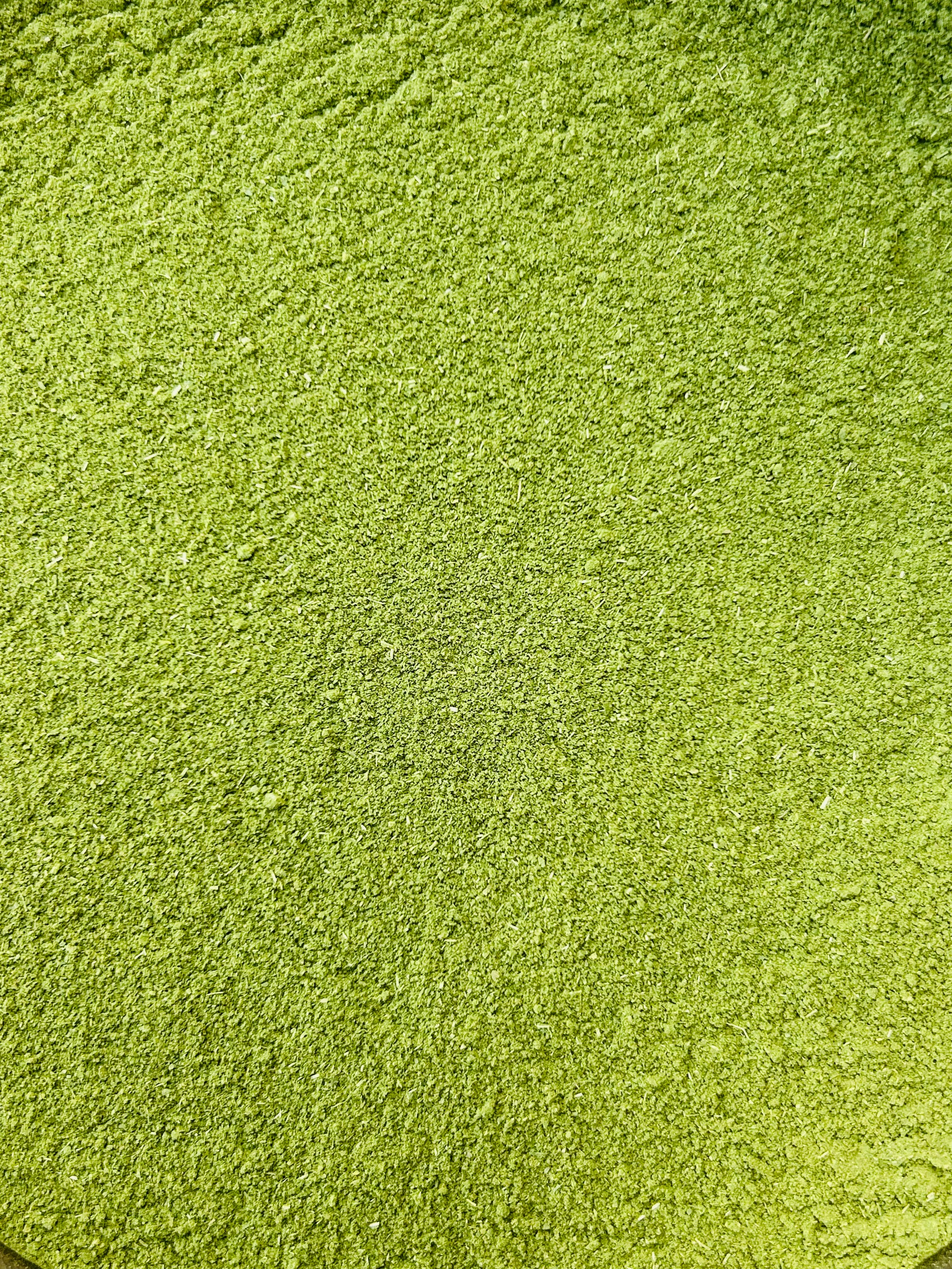 Poudre de Moringa (Moringa Oleifera) - Biologique