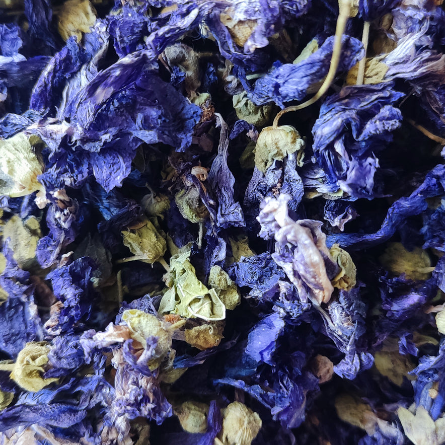 Image for Mallow Flower (Malva Sylvestris)