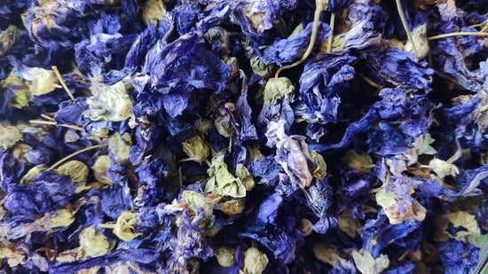 Mallow Flower (Malva Sylvestris)