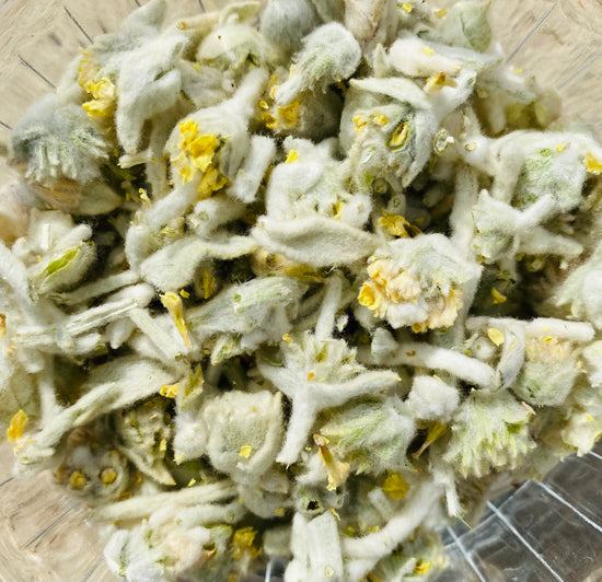 Wildcrafted Cretan Mountain Tea | Malotira From Lefka Ori