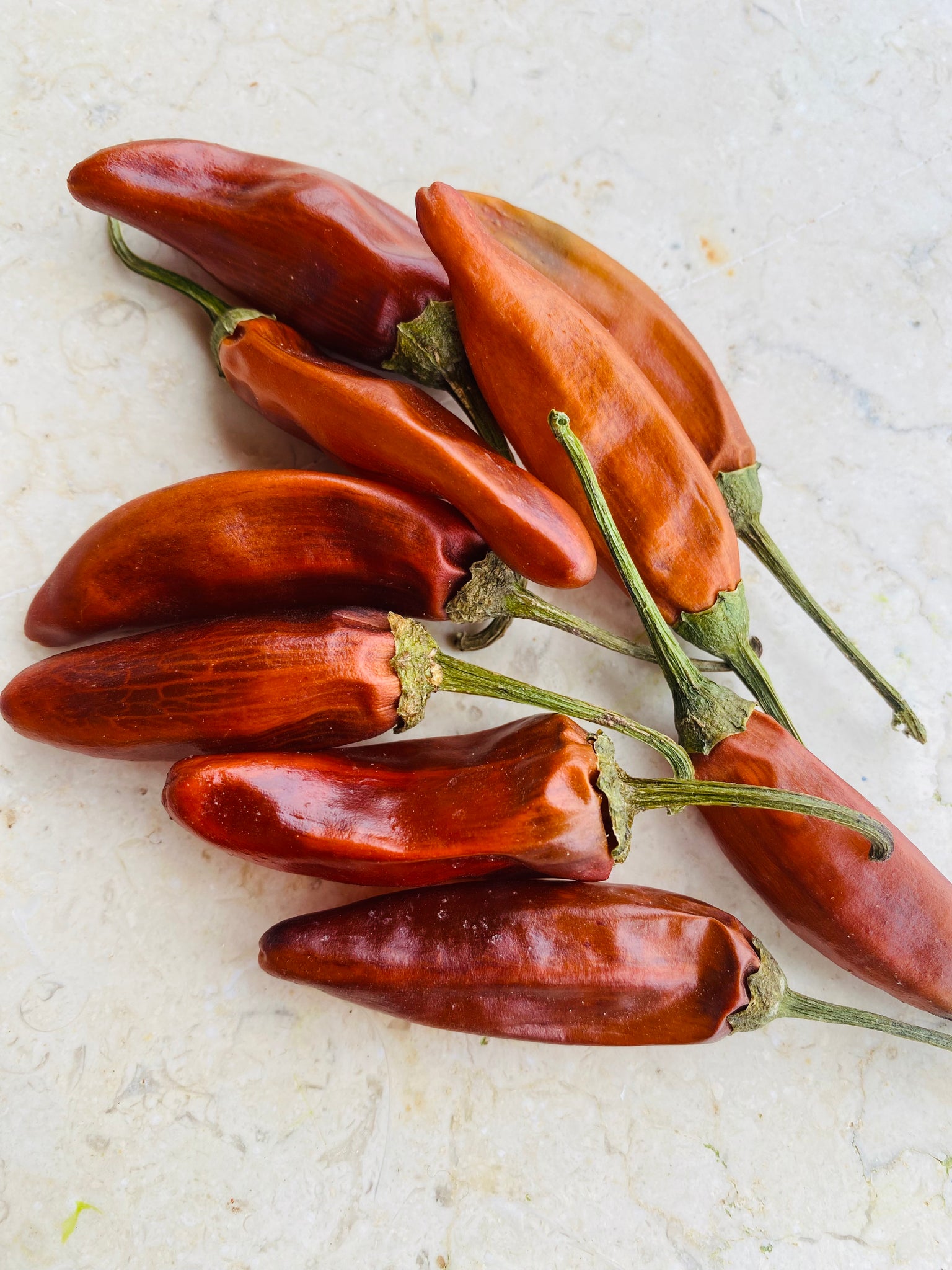 Orange Thai Chili Peppers | Botano's Biodynamic Cultivation