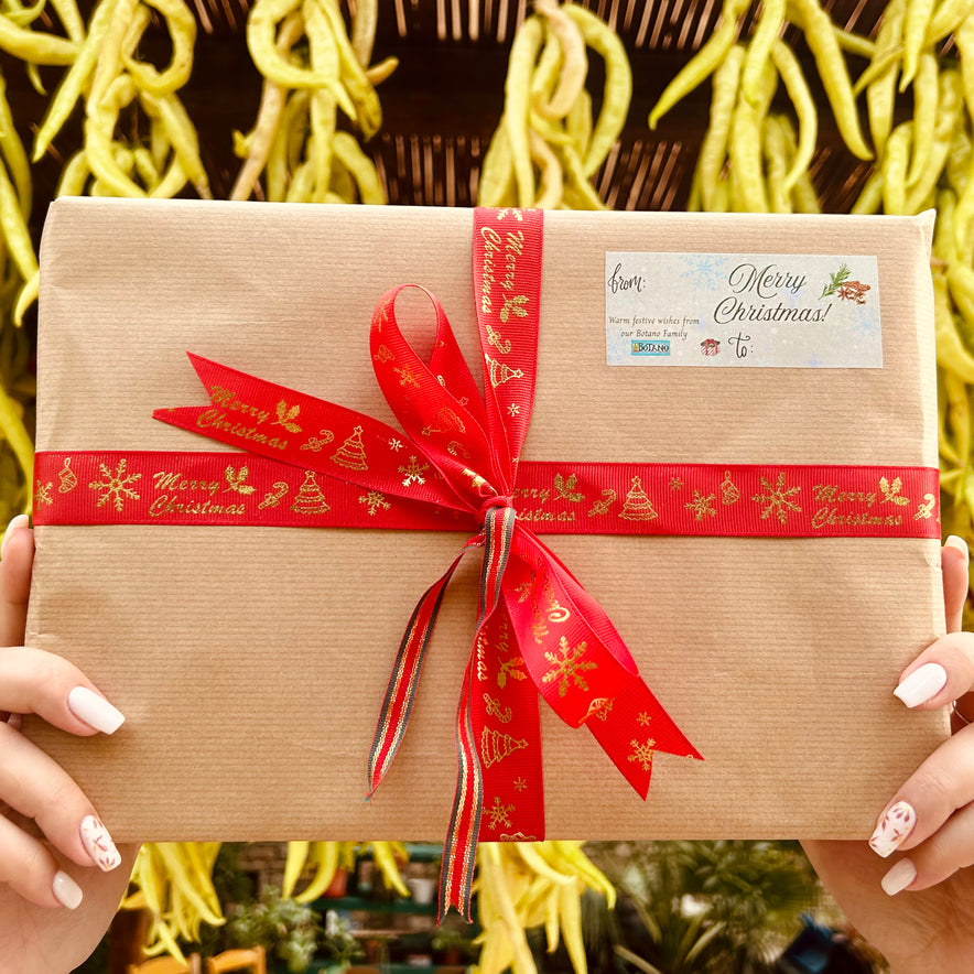 Image for <tc>Το χριστουγεννιάτικο κουτί δώρου</tc>