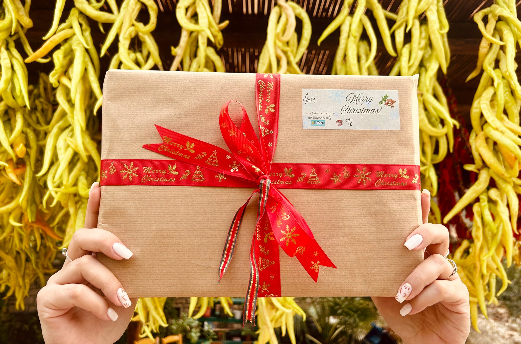 <tc>Το χριστουγεννιάτικο κουτί δώρου</tc>