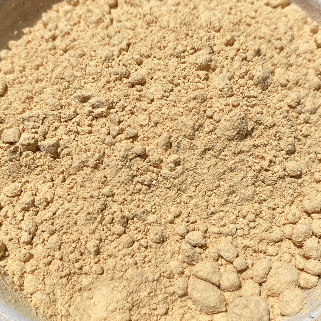 Lion's Mane Mushroom Powder - Organic
