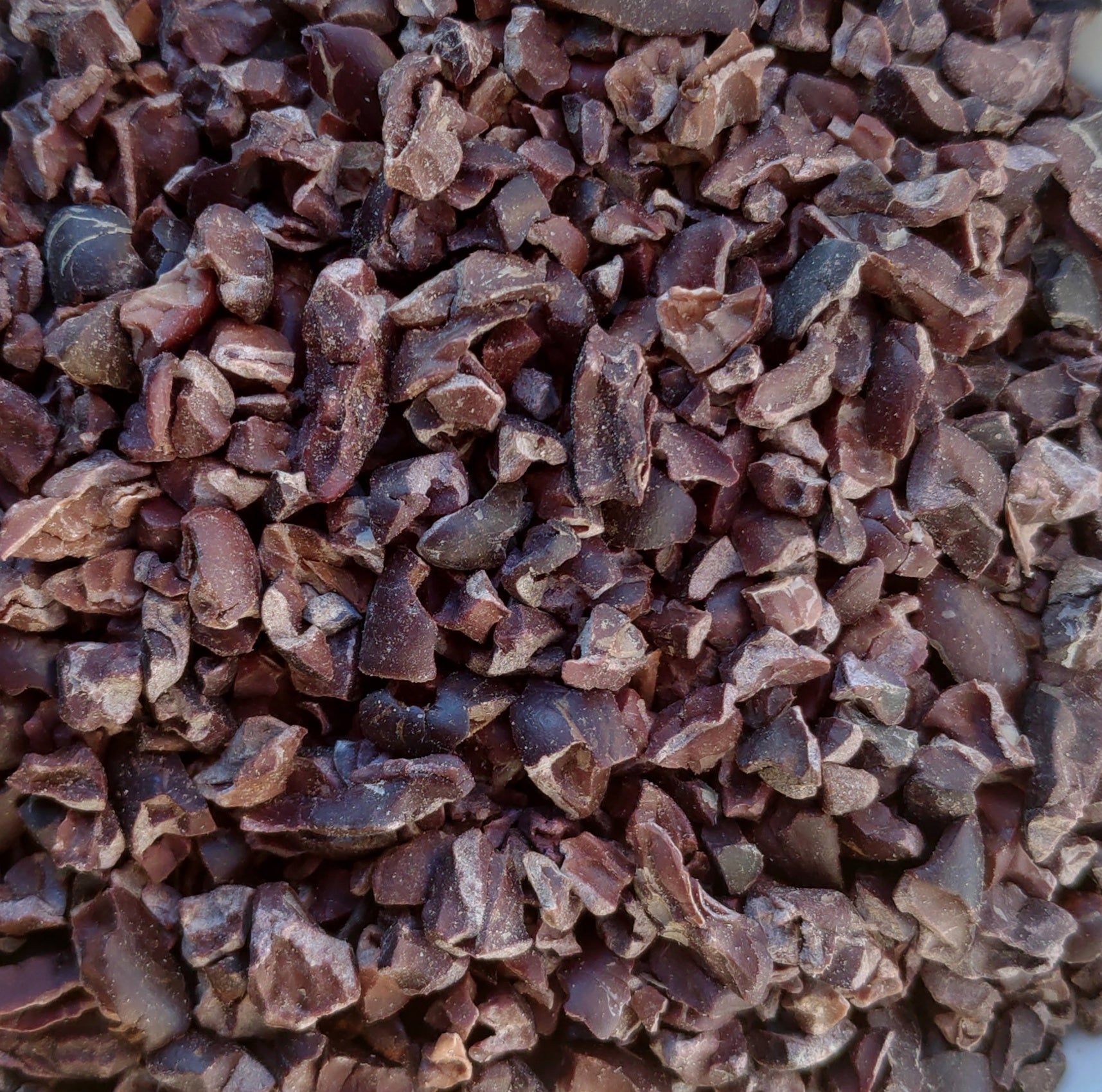 <transcy>Eclats de fèves de Cacao Biologiques</transcy>