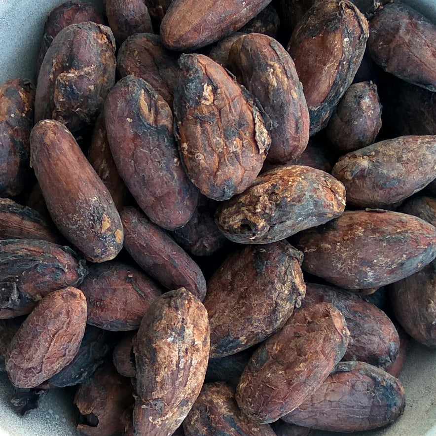 Image for Fèves de cacao biologiques