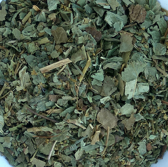 Alpenfrauenmantel (Alchemilla Alpina)