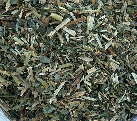 Waldnelke (Geum Urbanum)