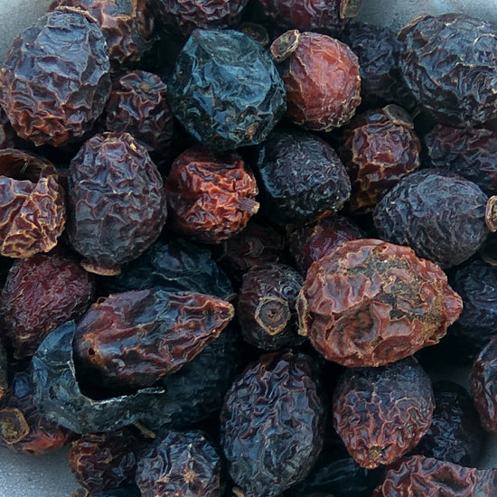 Hagebuttenbeeren | Ganz (Rosa Canina)