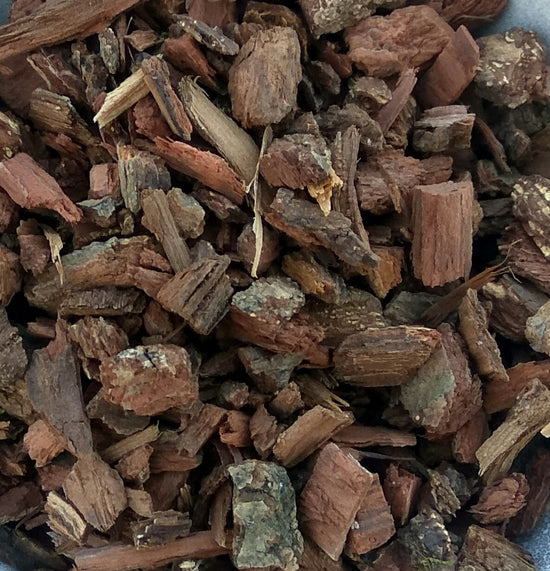 Weißeiche (Quercus Alba)