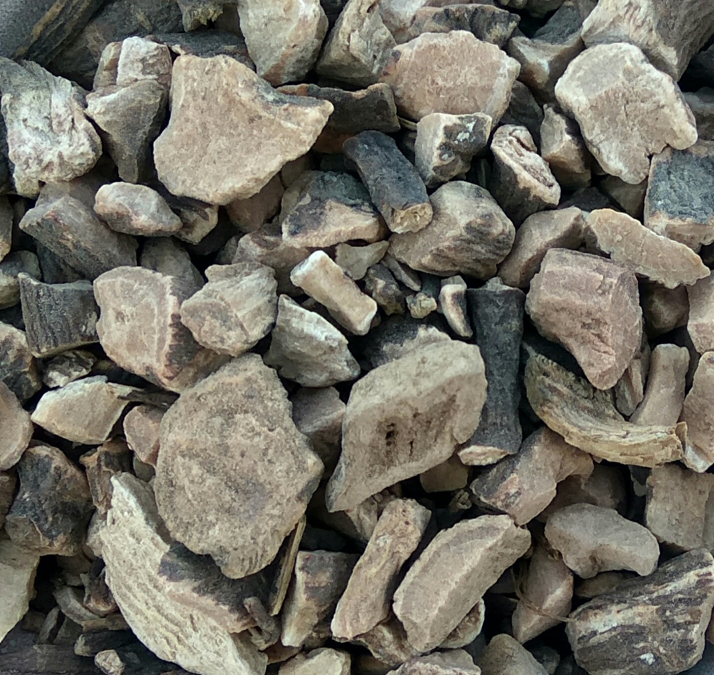 <transcy>Παιώνια Ρίζα (Paeonia Lactiflora)</transcy>