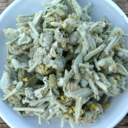 Cretan Mountain Tea / Malotira | Organic (Sideritis Syriaca)