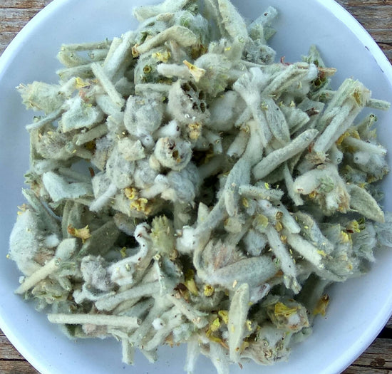 Kretischer Bergtee / Malotira | Biologisch (Sideritis Syriaca)