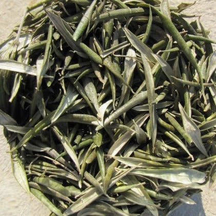 Cretan Olive Leaves (Olea Europaea)  | Our Biodynamic Cultivation