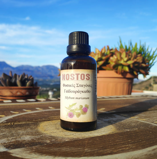 <transcy>Βάμμα Γαιδουράγκαθου (Silybum Marianum) από την NOSTOS PURE (50ml)</transcy>