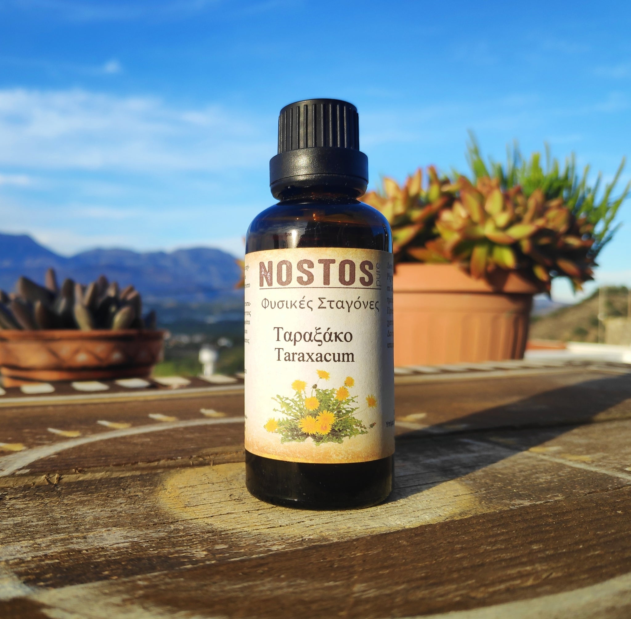 <transcy>Βάμμα Ταραξάκου (Taraxacum Officinale) από την NOSTOS PURE (50ml)</transcy>