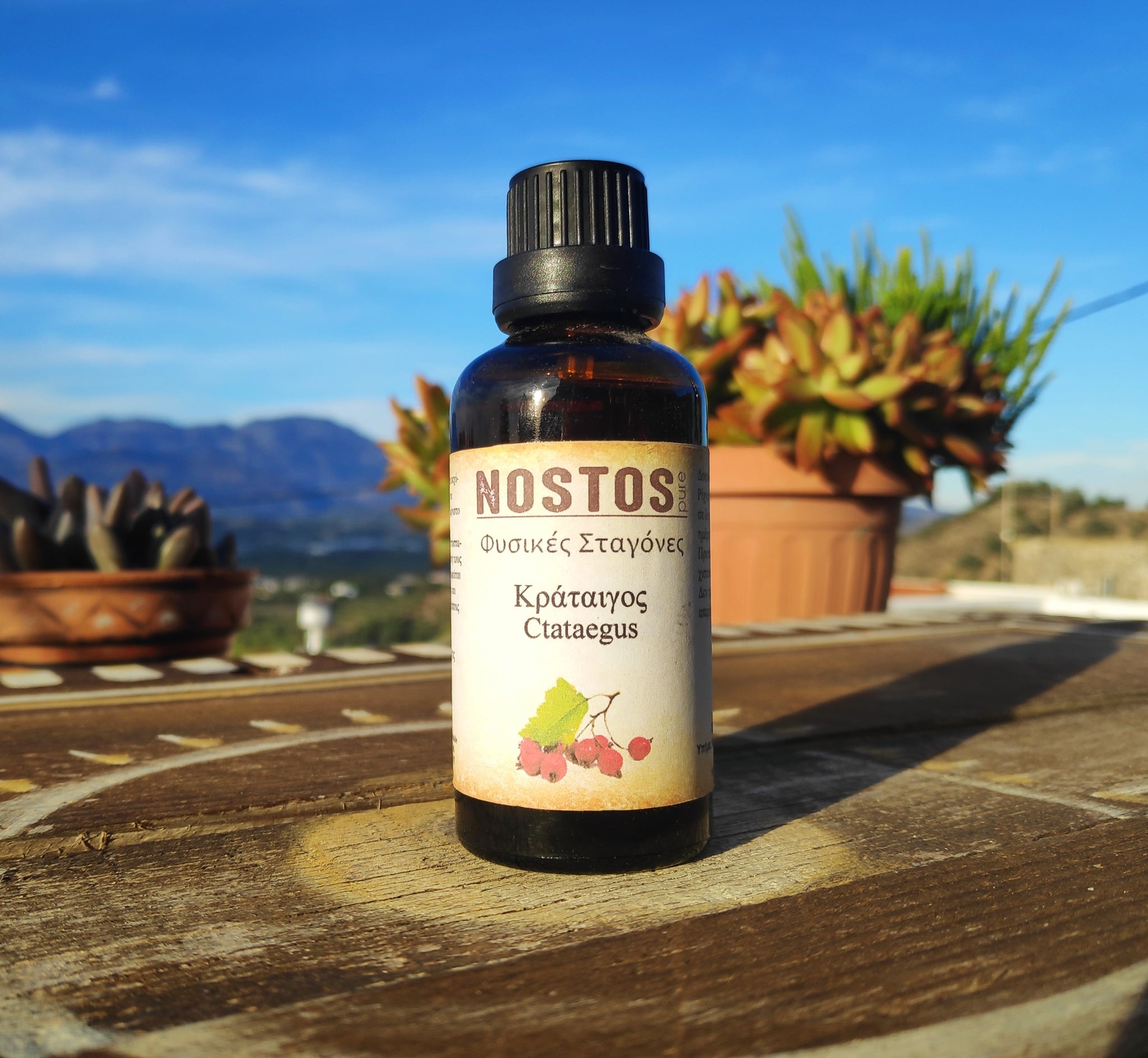 <transcy>Βάμμα Κράταιγου (Crataegus Monogyna) από την NOSTOS PURE (50ml)</transcy>