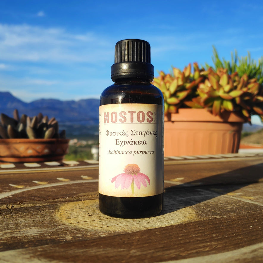 Image for Βάμμα Εχινάκειας (Echinacea Purpurea) από την NOSTOS PURE (50ml)