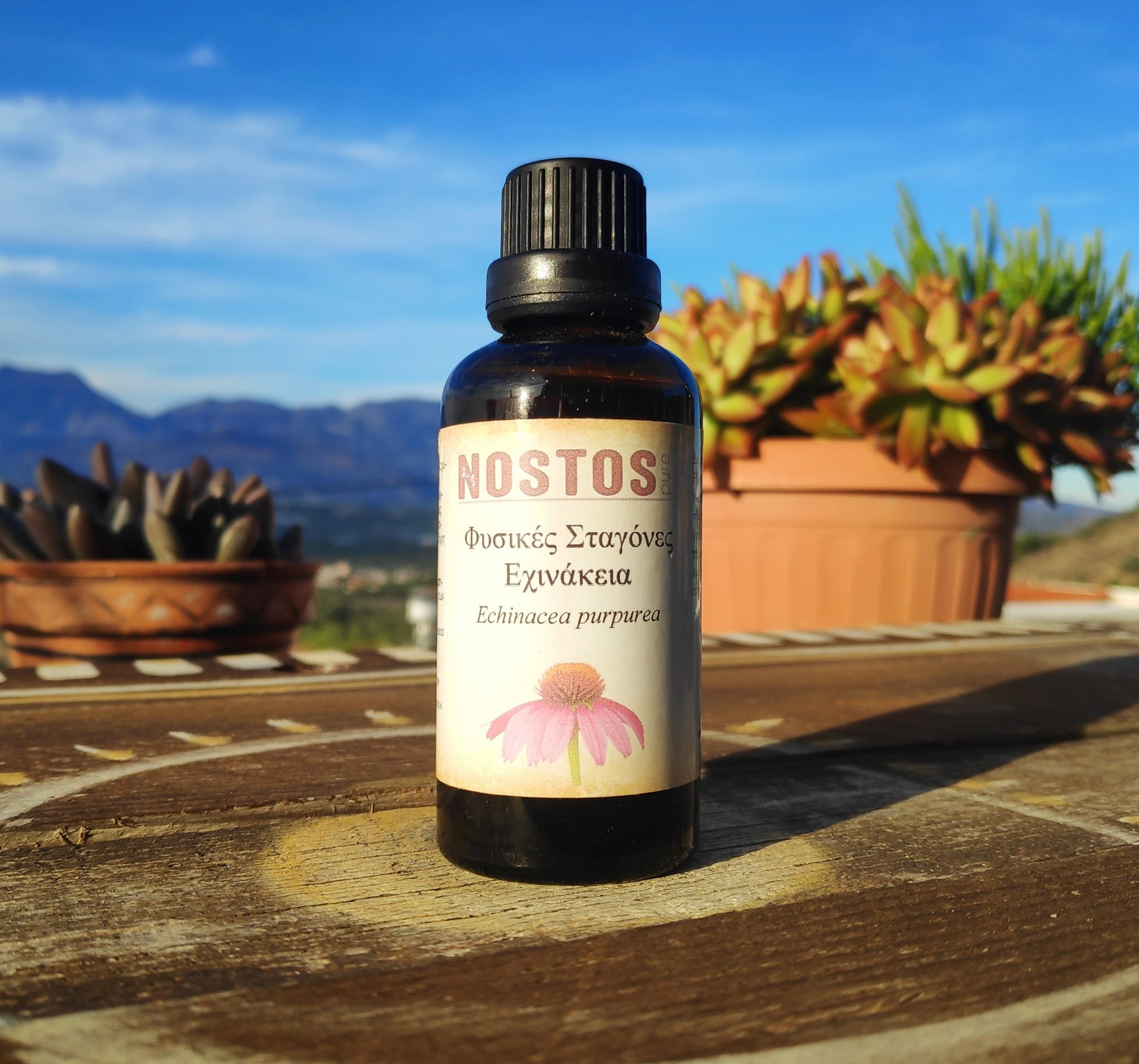 <transcy>Βάμμα Εχινάκειας (Echinacea Purpurea) από την NOSTOS PURE (50ml)</transcy>