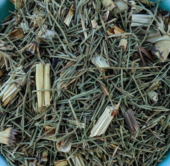 Schachtelhalm (Equisetum Arvense)