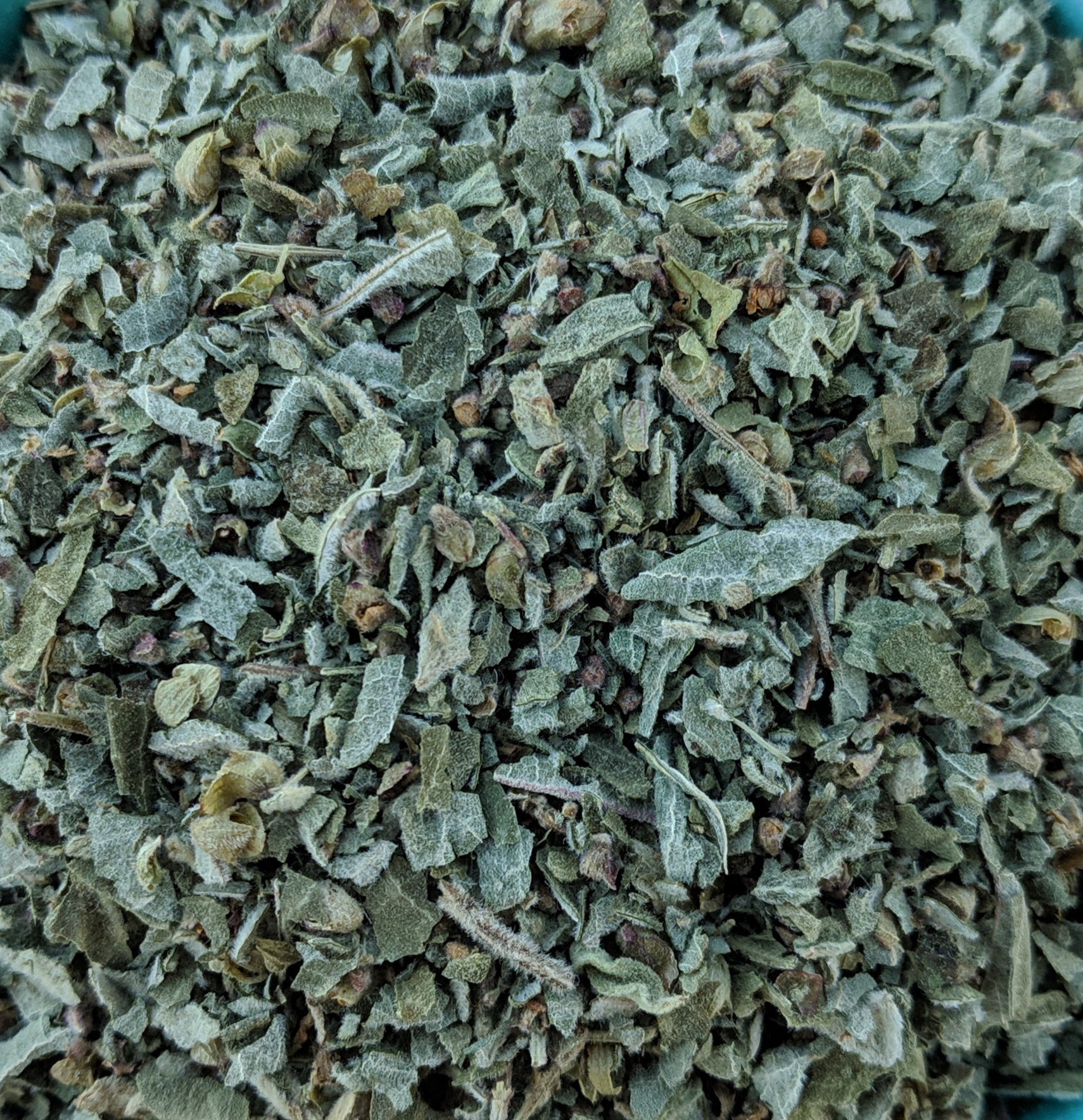 "Vana" Tulsi / Holy Basil (Ocimum Gratissimum)  | Our Biodynamic Cultivation