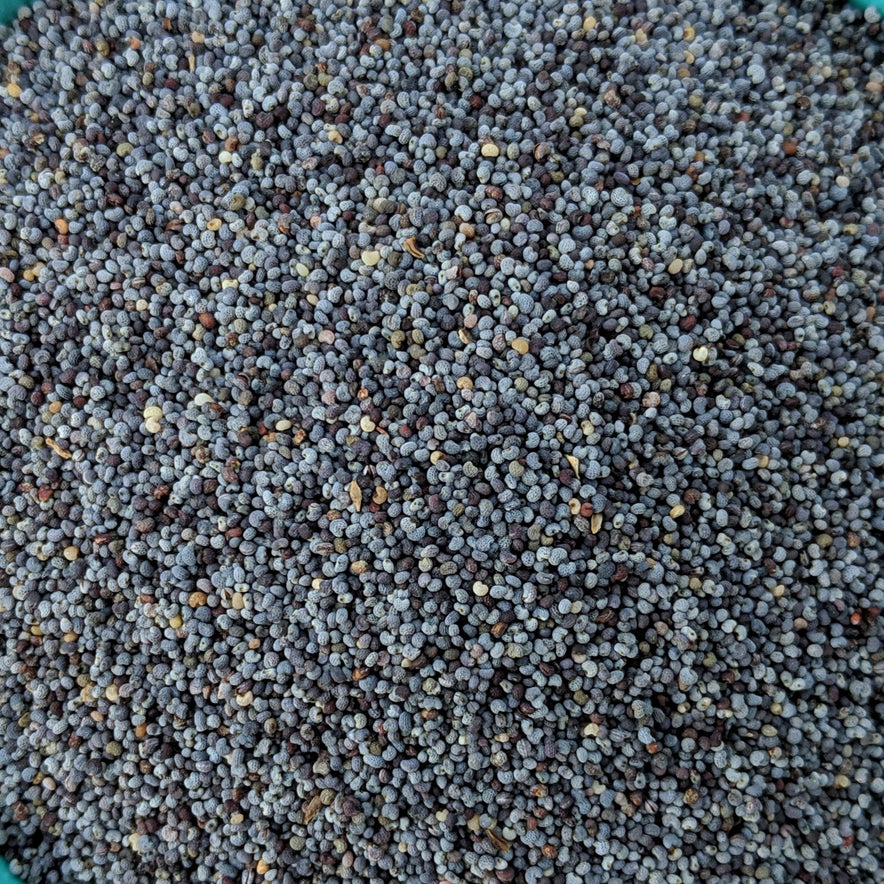 Image for Poppy Seeds