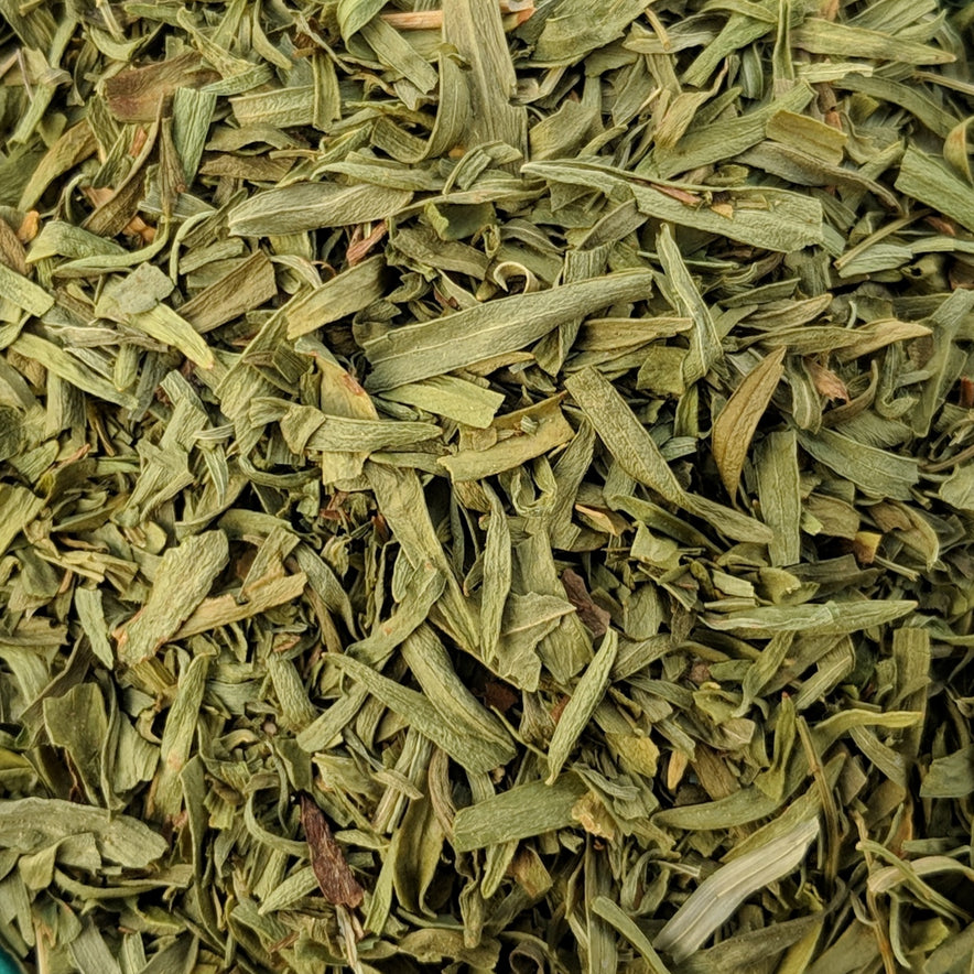 Image for Estragon / Estragon (Artemisia Dracunculus)