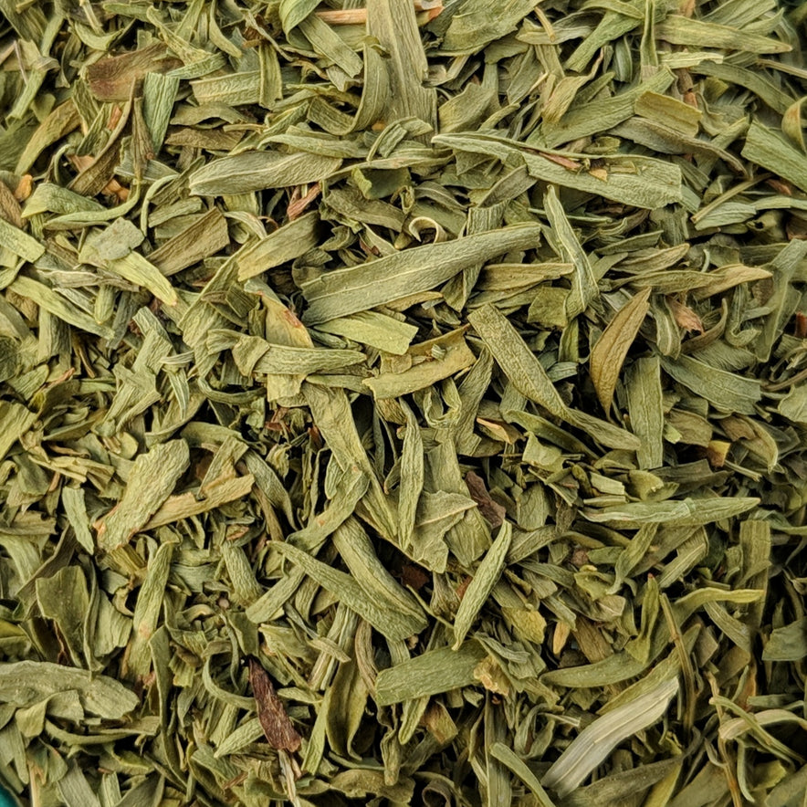 Image for Estragon / Tarragon (Artemisia Dracunculus)